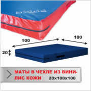МАТ СПОРТИВНЫЙ Boyko-sport в чехле из ткани ВИНИЛИС КОЖА 20х100х100 фото